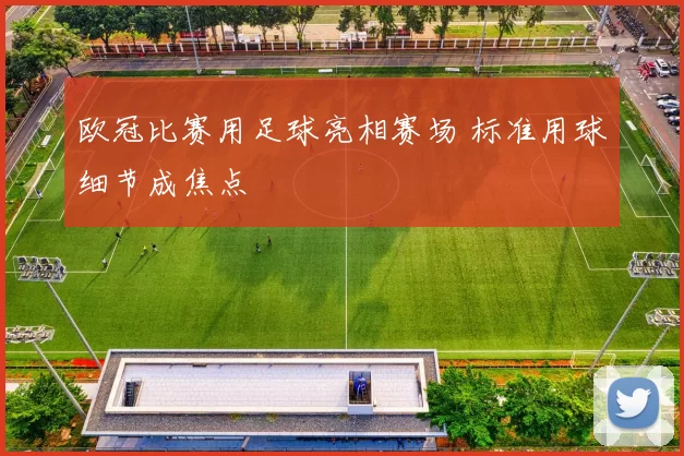 欧冠比赛用足球亮相赛场 标准用球细节成焦点