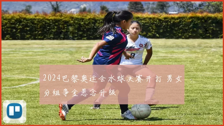 2024巴黎奥运会水球决赛开打 男女分组争金悬念升级