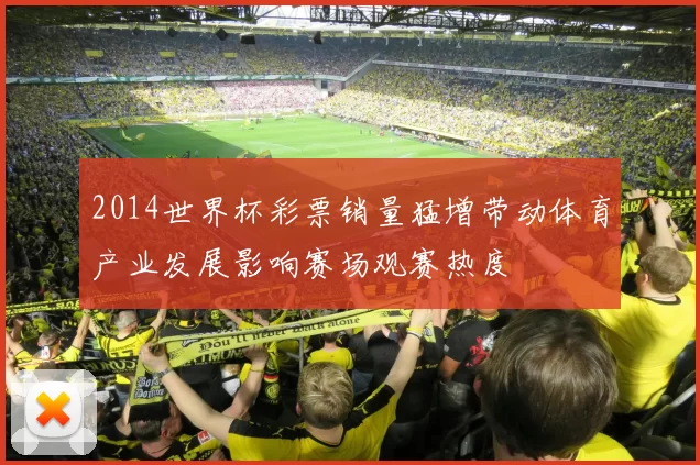 2014世界杯彩票销量猛增带动体育产业发展影响赛场观赛热度